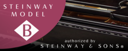 Steinway Model B