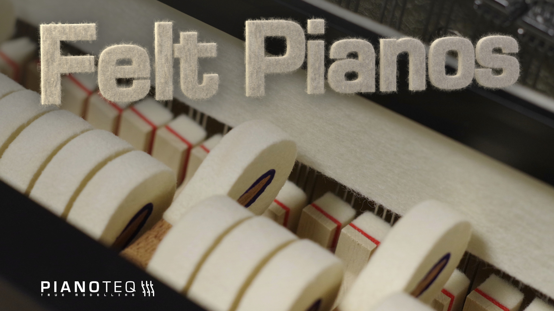 Modartt Pianoteq felt
